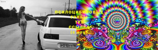 скорость Заводоуковск