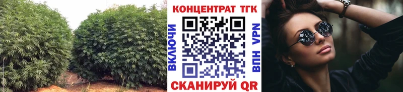 ТГК Wax  Щёлково 