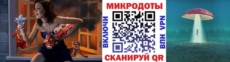 закладки  Щёлково  Псилоцибиновые грибы мухоморы 