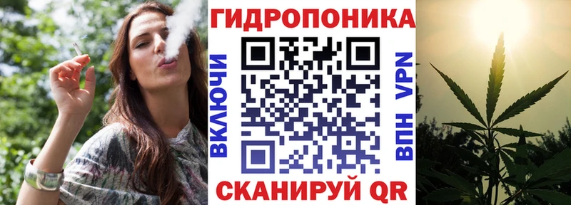 Канабис OG Kush что такое наркотик Щёлково